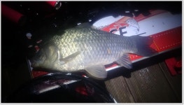 어신 > 오름수위 충주호 문골낚시터의 사짜 : 낚시사랑