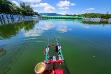 새마을낚시터 유료낚시터 > 주말 비가 오면 더 좋습니다. : 낚시사랑