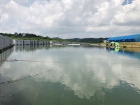 분납쟁이 > 가자~!! 광탄낚시터 .. : 낚시사랑