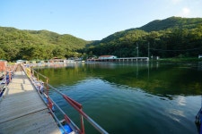 강태산 > 대박~~ 엘보 조심하세요^^~ 하루 백수 이상 가능 한 곳 성주리낚시터 ! : 낚시사랑