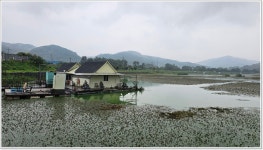 어신 > 오래간만에 찾은 음성 삼성낚시터 : 낚시사랑