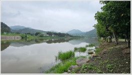 어신 > 처음 찾아간 청주의 대물터 용곡지 : 낚시사랑