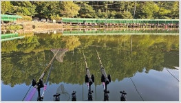 어신 > 다시 찾은 양평 대명낚시터 : 낚시사랑