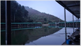 어신 > 다시 찾은 양평 대명낚시터 : 낚시사랑