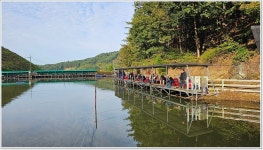 어신 > 대물 향어 낚시대회가 양평 대명낚시터에서 있었습니다. : 낚시사랑