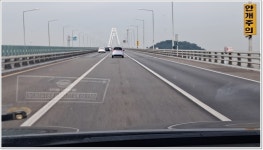 어신 > 손맛 보기 좋은 영종낚시터(구 만정) : 낚시사랑