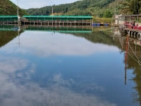 알프레도 > 깊어 가는 가을 대명낚시터에서 힐링의 시간을 갖고 왔습니다. : 낚시사랑