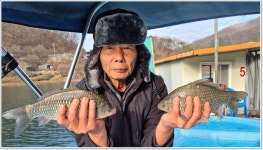 어신 > 한겨울에도 붕어가 나온다는 충주호 하천낚시터 : 낚시사랑