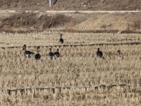 바다하늘산 > 경기도 화성 어천낚시터 개장 소식 ... 2024.2.24 ~ 2.25 ... : 낚시사랑