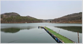 어신 > 용인 삼인낚시터 : 낚시사랑