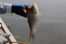 은물결2 > 쓸데없는 걱정! : 낚시사랑