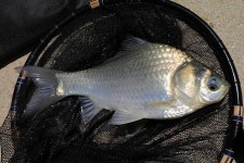 은물결2 > 쓸데없는 걱정! : 낚시사랑