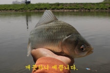 은물결2 > 쓸데없는 걱정! : 낚시사랑