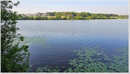 어신 > 새우빨이 좋은 이천 성호낚시터 : 낚시사랑