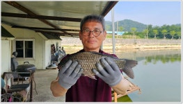 어신 > 낮아진 수위 속에 나오는 붕어들... 삼성 낚시터 : 낚시사랑
