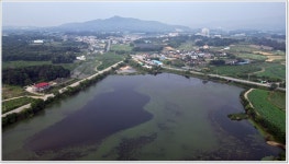 어신 > 시원한 좌대에서 푹쉬다 나온 성호낚시터 : 낚시사랑