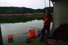 질꾼 > [붕어 이야기 489] 밤밭낚시터 : 낚시사랑