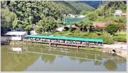 어신 > 특수 어종터 양평 대명낚시터 다녀 왔습니다. : 낚시사랑