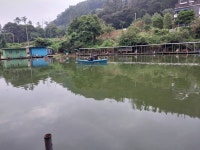 알프레도 > 산속에 소류지 같은 세월낚시터에서 힐링의 시간을 보내고 왔습니다 : 낚시사랑