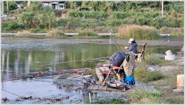 어신 > 평택의 끝자락 토종터 계양낚시터 : 낚시사랑