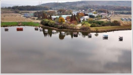 어신 > 죽산지에서는 보기 힘든 대물붕어가 나왔습니다. : 낚시사랑