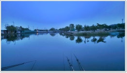 어신 > 치어 퇴치 후 새롭게 개장한 영종낚시터 : 낚시사랑