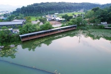 노아주 > 개군지 향리낚시터 : 낚시사랑