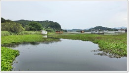어신 > 입석 낚시터 본류권 좌대에서 : 낚시사랑