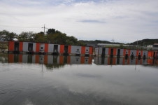 빨간풍차 > 가을 붕어 손맛보러 오세요,-초원낚시터 : 낚시사랑