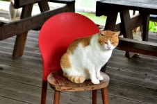 강호지락 > 가을 비내리는 어은지 (수곡낚시터) : 낚시사랑