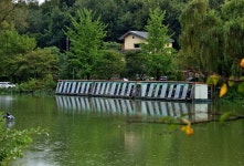 강호지락 > 가을 비내리는 어은지 (수곡낚시터) : 낚시사랑