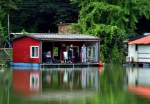 강호지락 > 가을 비내리는 어은지 (수곡낚시터) : 낚시사랑