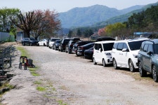 노아주 > 포천 황금낚시터 : 낚시사랑
