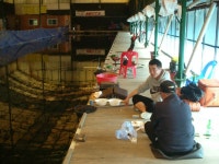 수동그린낚시터 > 목요까대기^**^**^**^ : 낚시사랑