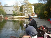 수동그린낚시터 > 목요까대기^**^**^**^ : 낚시사랑