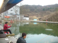 수동그린낚시터 > 떡순이가 나르샤^**^**^ : 낚시사랑