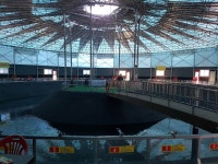 송도사랑214 > 자유로레져(사계절바다낚시터) 9월 22일 오픈이라는군요 : 낚시사랑