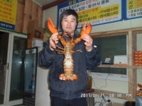 예지바다낚시터 > 전곡읍한탄강유원지 연천소방서뒤 예지바다 립스터 &장어낚시터 개장 : 낚시사랑