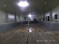 예지바다낚시터 > 전곡읍한탄강유원지 연천소방서뒤 예지바다 립스터 &장어낚시터 개장 : 낚시사랑