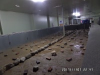 예지바다낚시터 > 전곡읍한탄강유원지 연천소방서뒤 예지바다 립스터 &장어낚시터 개장 : 낚시사랑