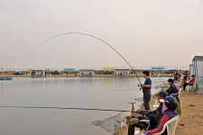 강호지락 바다낚시조황 > 강화도 동검 바다낚시터 : 낚시사랑