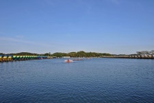 강호지락 바다낚시조황 > 한국바다낚시터 : 낚시사랑