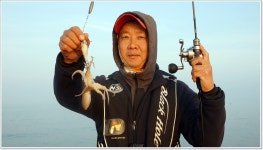 어신 바다낚시조황 > 안면도 마검포항 바다사랑호 주꾸미 낚시 : 낚시사랑