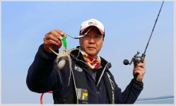 어신 바다낚시조황 > 안면도 마검포항 바다사랑호 주꾸미 낚시 : 낚시사랑