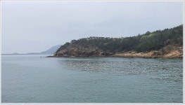 어신 바다낚시조황 > 군산 야미도에서의 2박 3일 : 낚시사랑