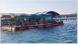 어신 바다낚시조황 > 다시찾은 생활낚시 끝판왕 도비도 아쿠아좌대 : 낚시사랑