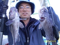 장고항경영호 바다낚시조황 > ◆11월3일 당진 장고항리 용무지항 경영호 조황사진◆제 2부 : 낚시사랑