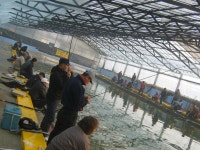 서해바다낚시 바다낚시조황 > ♥서해낚시터♥♥ 11/24(토) 하우스(실내) 개장 오전 대박 조황(2)............... : 낚시사랑