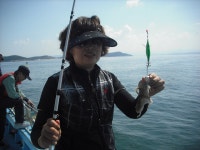 오천항구낚시 바다낚시조황 > 9.6 장보고호 조황입니다^^* : 낚시사랑