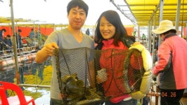 대원좌대 바다낚시조황 > 4월 26일 토요일 조황정보 : 낚시사랑